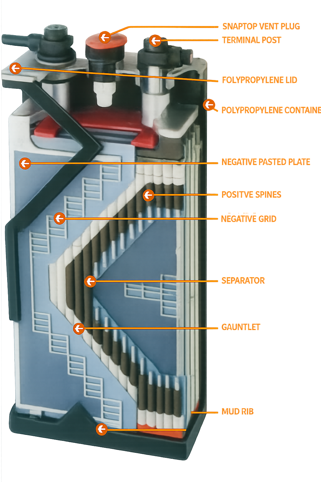Exploded cutaway view of a CEIL motive power lead-acid battery cell, labelled with its parts: snaptop vent plug, terminal post, polypropylene lid and container, negative pasted plate, positive spines, negative grid, separator, gauntlet and mud rib.